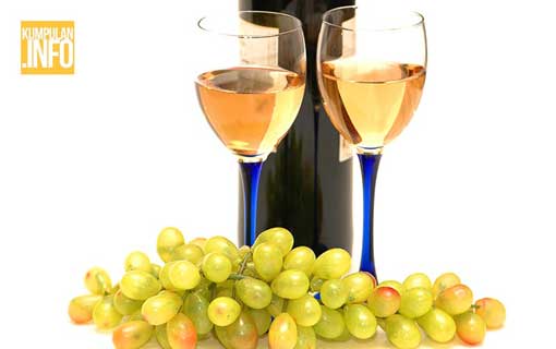 Nikmati Segelas Wine Sehari