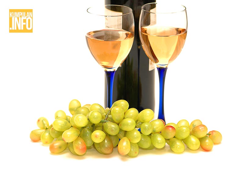 Nikmati Segelas Wine Sehari
