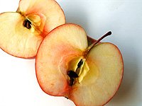 Manfaat Buah Apel