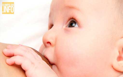 Cukupkah ASI untuk Bayi?