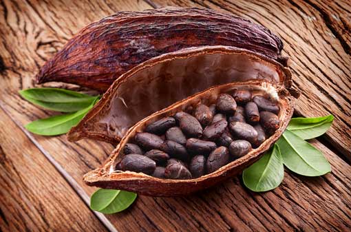 Mengenal Cokelat yang Anda Nikmati