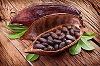 Mengenal Cokelat yang Anda Nikmati