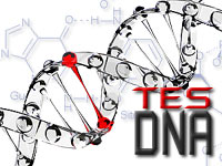 Tes DNA, Apakah Akurat dan Dapat Dipercaya?