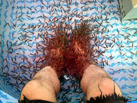 Fish Spa dengan Garra rufa
