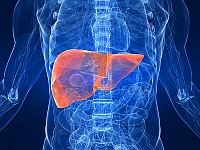 Jaga Hati dari Hepatitis