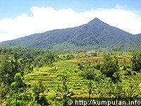 Jatiluwih Bali