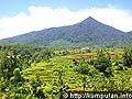 Jatiluwih Bali