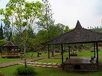 Mengenal Alam di Jendela Alam