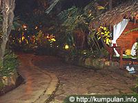 Alaminya Kampung Daun