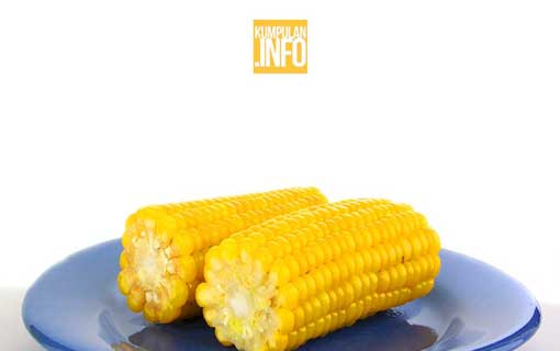 Makanan Mengandung Karbohidrat