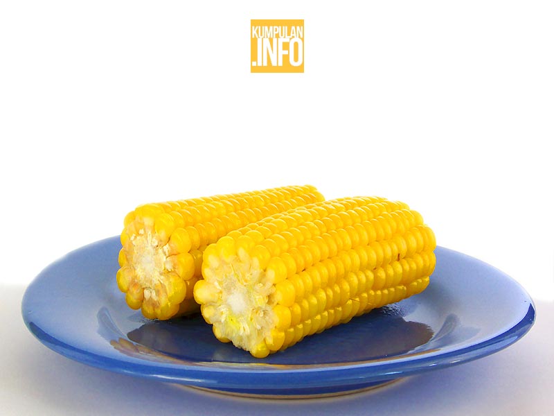 Makanan Mengandung Karbohidrat