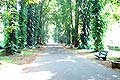Kebun Raya Bogor