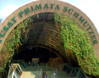 Kebun Binatang Ragunan