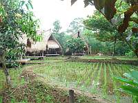 SapuLidi - Resto and Cafe