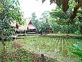 SapuLidi - Resto and Cafe