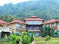 Segarkan Rumah dengan Taman