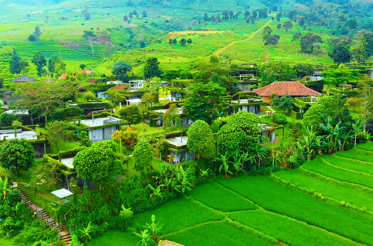 Tea Garden Resort, Healing di Tengah Kebun Teh Subang