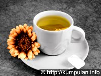 Teh untuk Kesehatan Tubuh