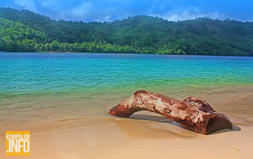 Teluk Kiluan Lampung
