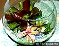 Terarium Seni Taman dalam Kaca