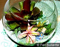 Terarium Seni Taman dalam Kaca