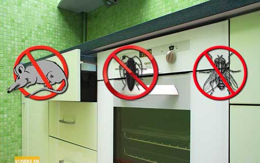 Membasmi Lalat, Kecoa dan Tikus dari Dapur