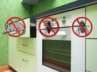 Membasmi Lalat, Kecoa dan Tikus dari Dapur
