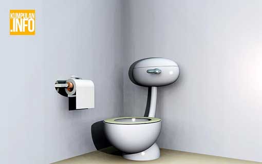 Cara Aman Menggunakan Toilet Umum