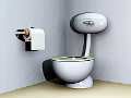 Cara Aman Menggunakan Toilet Umum