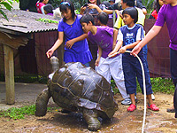 Wisata Edukatif di Godong Ijo (Eco-Tainment, Eco-Arts & Eco-Science)